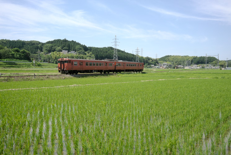 津山線３９３８Ｄ列車（弓削～誕生寺）