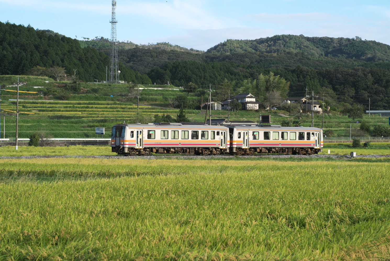 キハ１２０　２連（弓削～誕生寺）９５４Ｄ