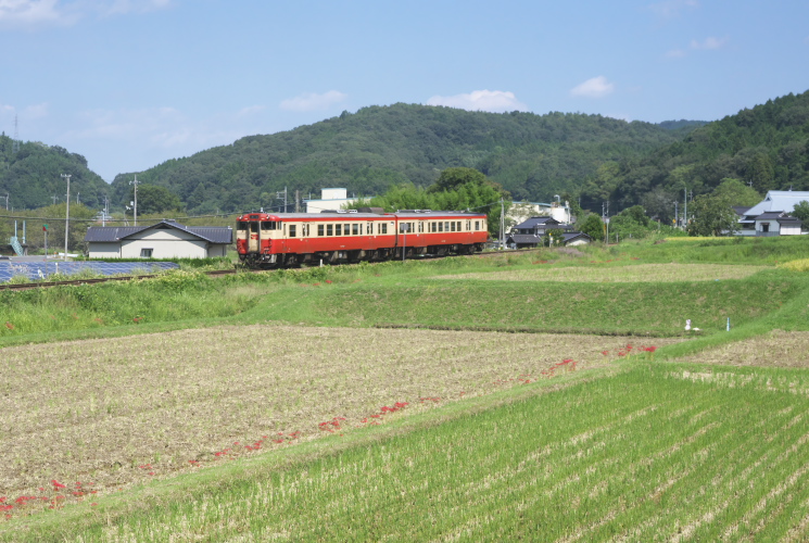 津山線９５０Ｄ列車（福渡～神目）