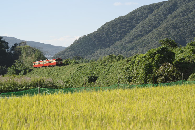 津山線９５２Ｄ列車（牧山～野々口）