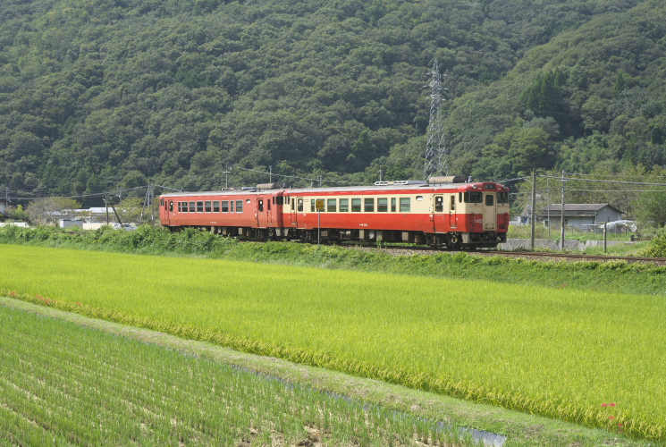 津山線９５３Ｄ列車（福渡～神目）