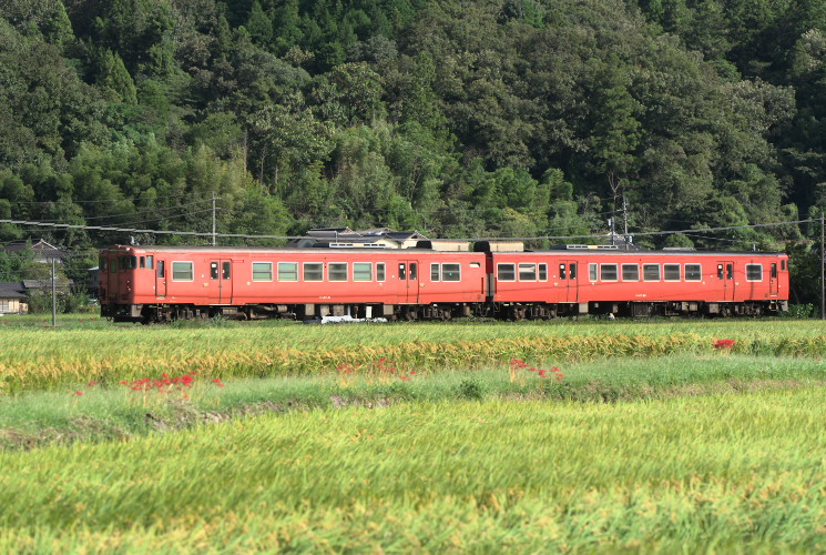 津山線９５５Ｄ（神目～福渡）キハ４７形