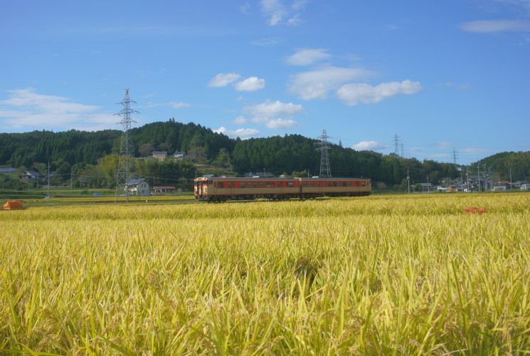 津山線９５５Ｄ（誕生寺～弓削）