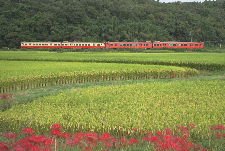 津山線９５７Ｄ列車（誕生寺～弓削）
