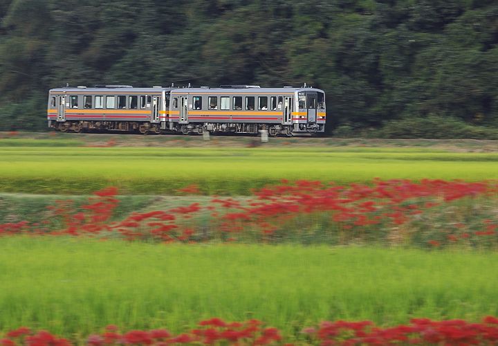 津山線９５９Ｄ列車