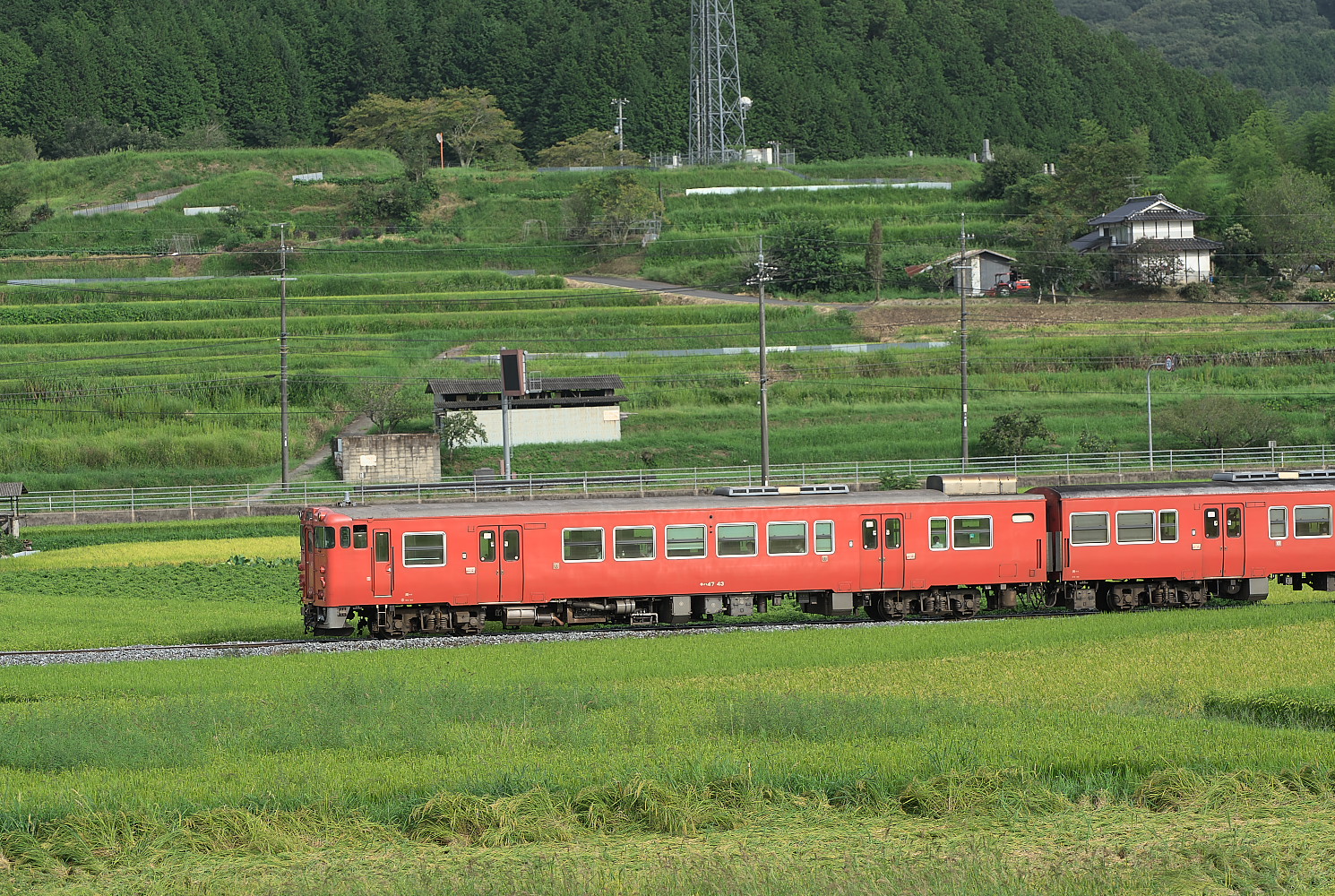 キハ４７（弓削～誕生寺）