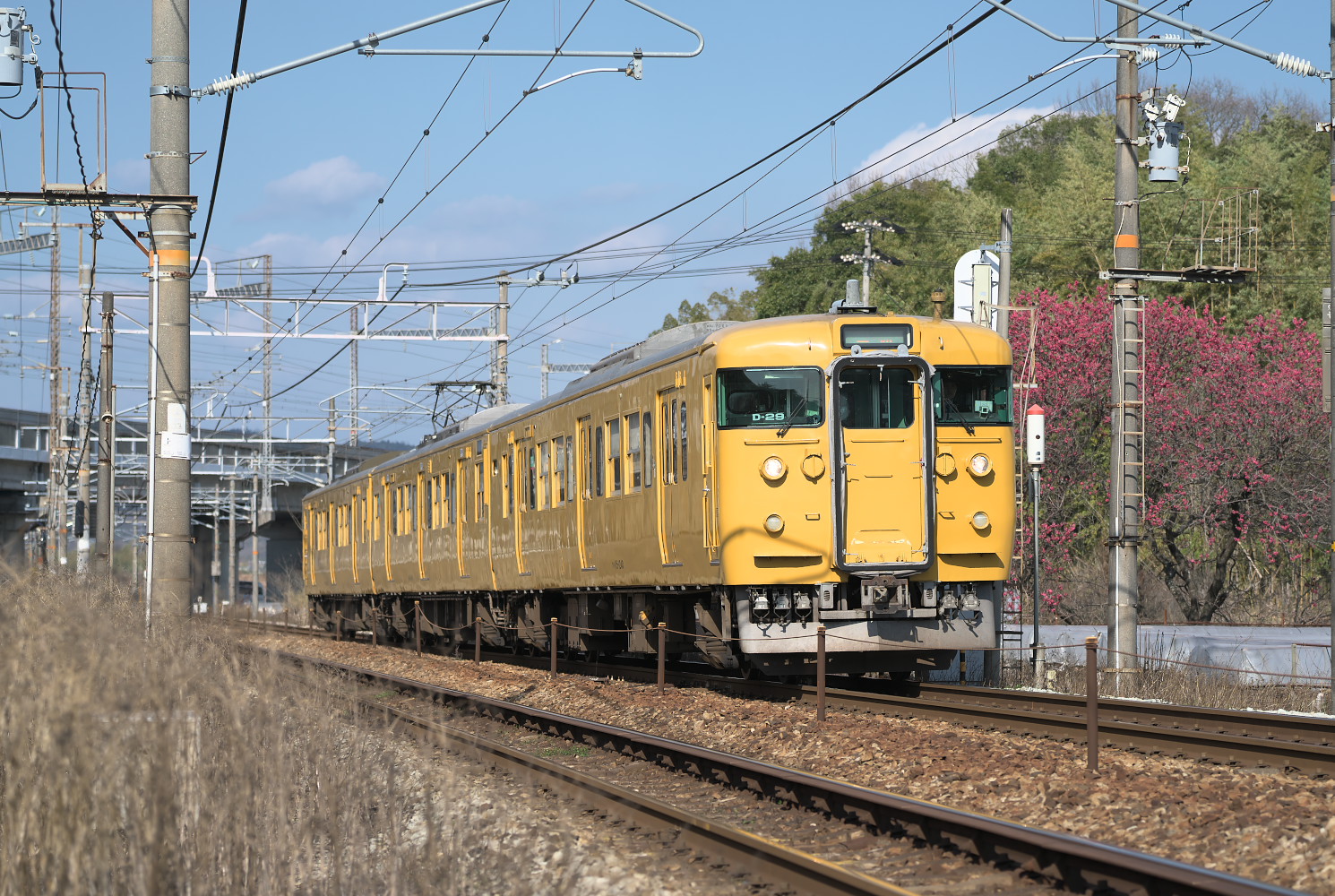 １１５系電車　Ｄ－２９編成　（瀬戸～上道）