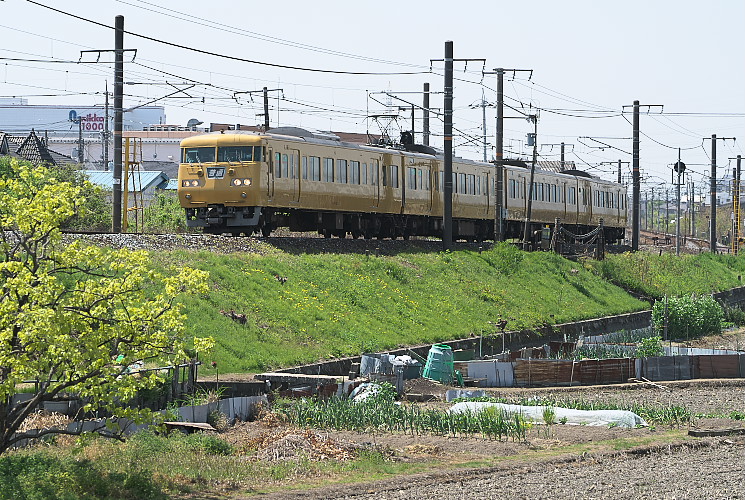 １１７系電車３８１系電車（庭瀬～北長瀬）