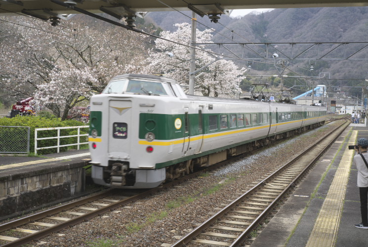 ３８１系特急電車（木野山）