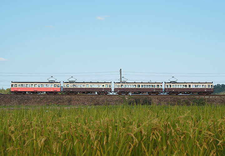 琴平線２１５列車