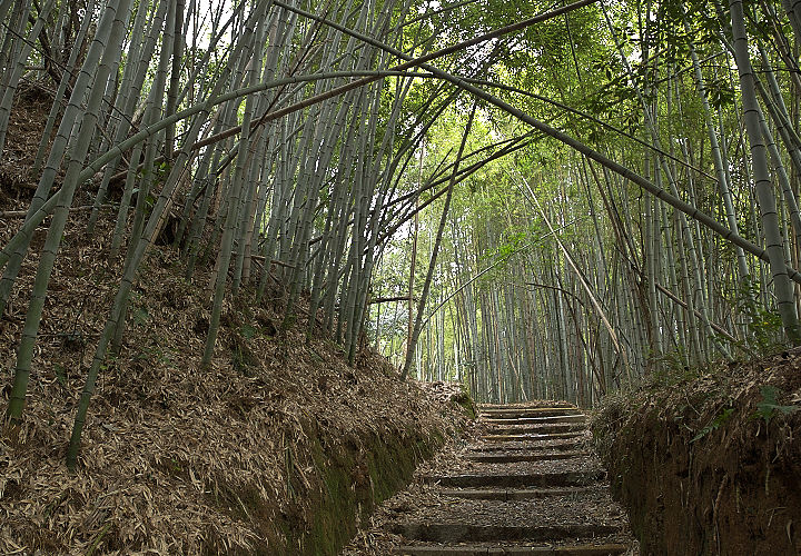 金山寺の山道