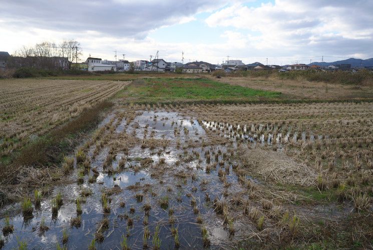 水攻め提跡（岡山市北区立田）