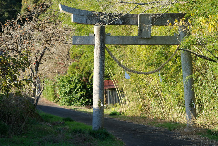 西幸神社参道（鳥居）